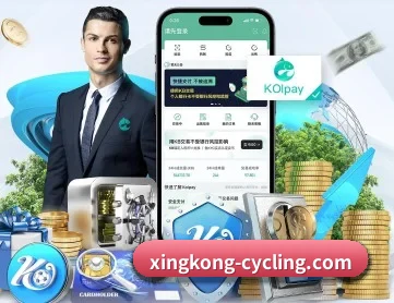 星空体育入口 APP